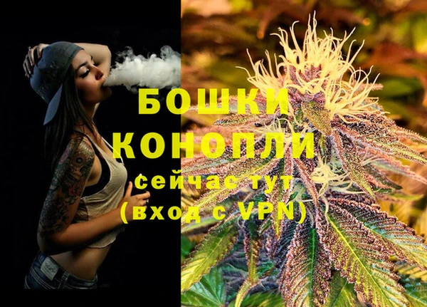 хмурый Семилуки