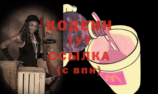 хмурый Семилуки